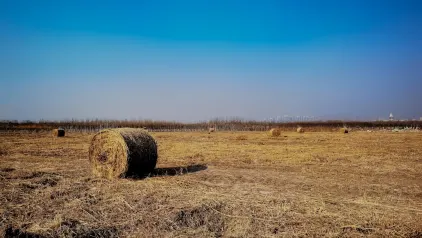 Winzinator Casino Aplicación móvil